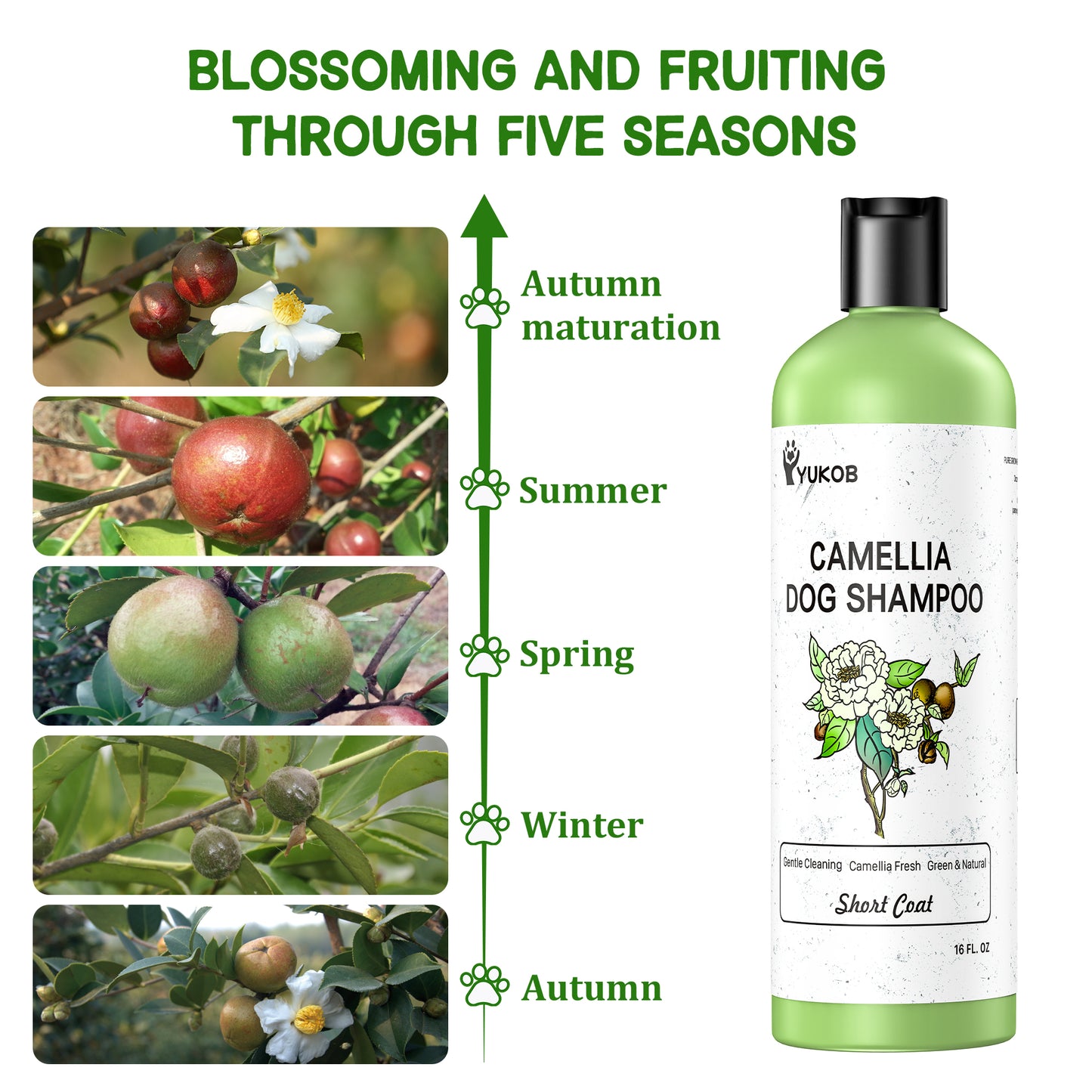 Camellia Dog Conditioner