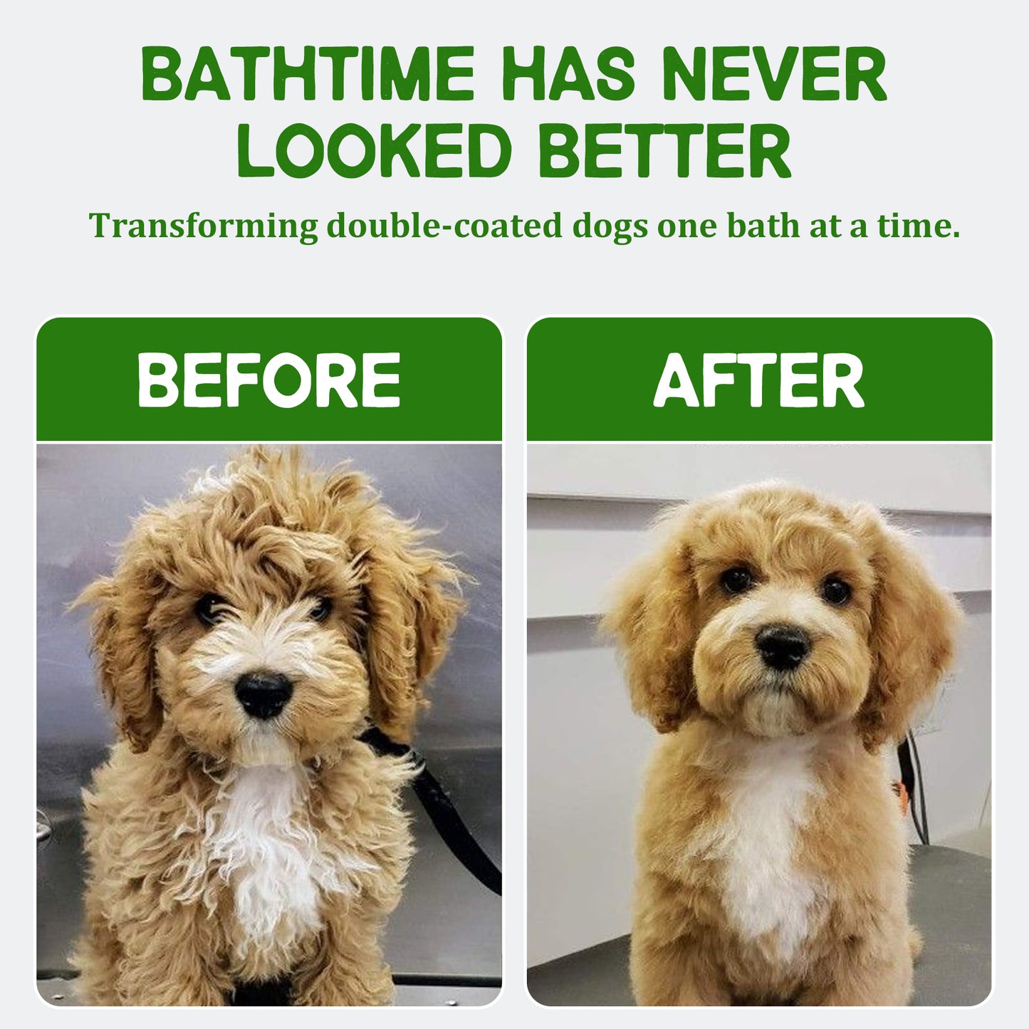 Camellia Dog Conditioner
